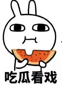 吃瓜师太,网络红人的崛起与影响力