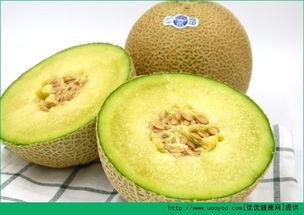 哈密瓜可以给宝宝吃吗,宝宝辅食新选择，营养美味两不误