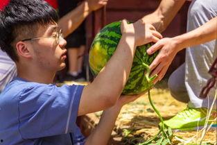 龙子湖吃瓜视频,揭秘校园生活趣味瞬间