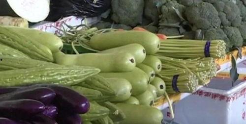 女生梦见摘葫芦瓜吃,女生摘葫芦瓜食之奇幻体验