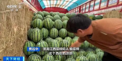 吃瓜轻纺城,探寻吃瓜轻纺城的纺织魅力与休闲风情