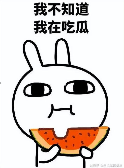 吃瓜白屏,网络迷雾中的真相探寻