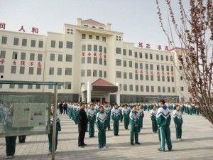 安徽新晃中学吃瓜,揭秘校园食品安全风波”