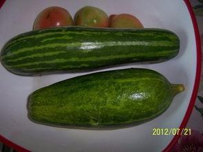 江西韶瓜如何吃,多味食法，尽享夏日清新美味