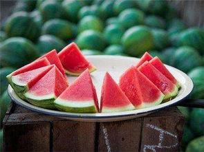 吃瓜加各种瓜,吃瓜与各种瓜的趣味探索