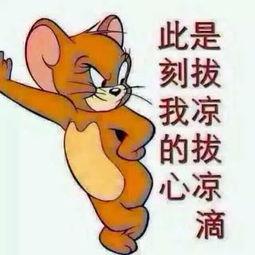 优美吃瓜群众图片,跟随优美吃瓜群众，感受夏日清凉时光