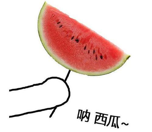 愚人节吃瓜大瓜图片,揭秘那些让人捧腹大笑的吃瓜大瓜瞬间