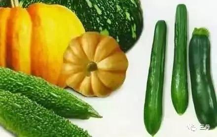 小羊宝吃瓜版,揭秘瓜界新宠儿的甜蜜生活