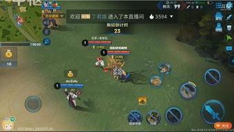 王者荣耀吃瓜玩家名字,揭秘“吃瓜玩家”背后的神秘故事