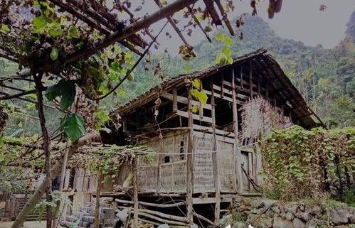 道士吃瓜,道士的神秘瓜界探险记