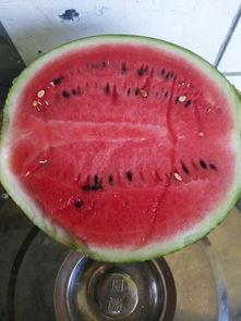 下午吃的瓜,甜蜜滋味尽享时光