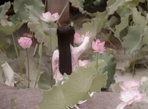 扶摇树下吃瓜,揭秘宫廷秘闻的欢乐盛宴