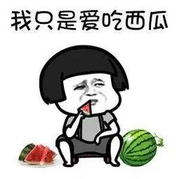 带你吃瓜世界难题