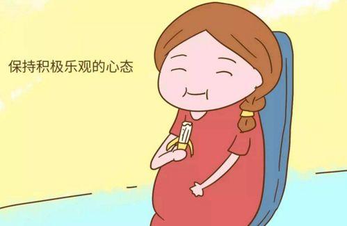 吃保胎药的瓜,揭秘吃保胎药的神奇之旅